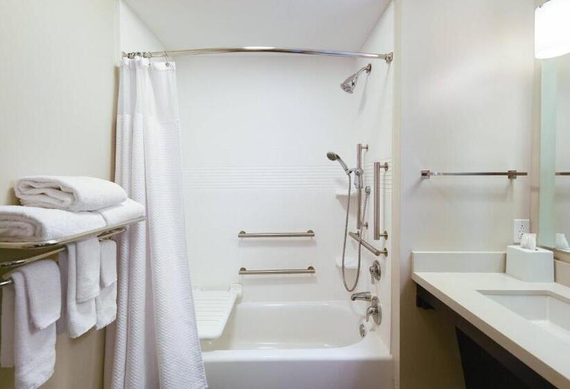 带大床的套房, Towneplace Suites By Marriott Slidell