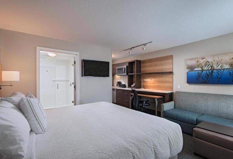 キングサイドベッドのスタンダードワンルーム, Towneplace Suites By Marriott Lakeland