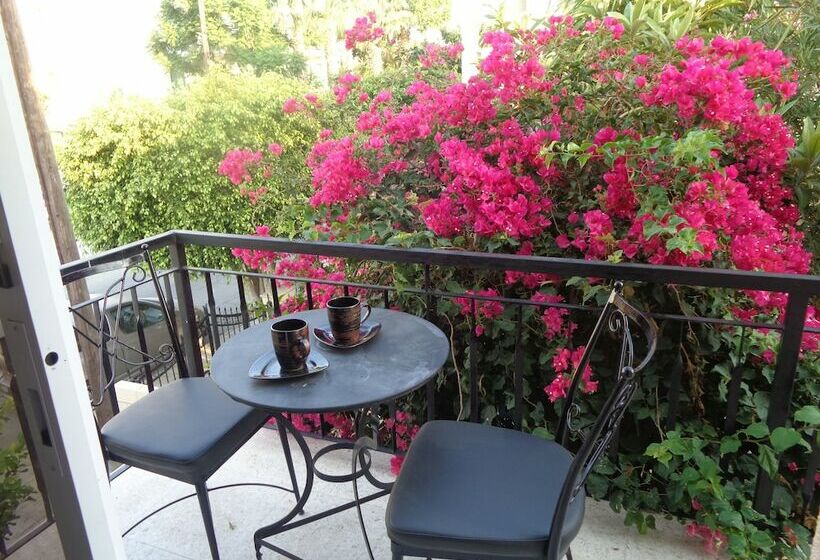 إستوديو قياسى, Irene's Apartments