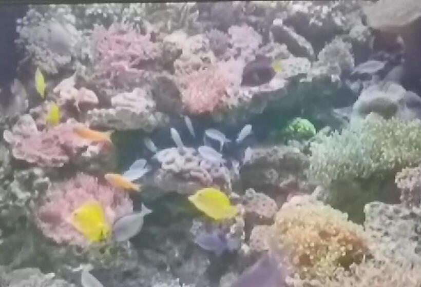 آپارتمان 1 خوابه با تراس, Lemarida Suites