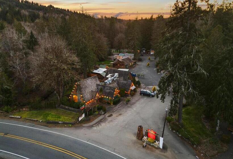 Президентский Люкс, Robin Hood Village Resort