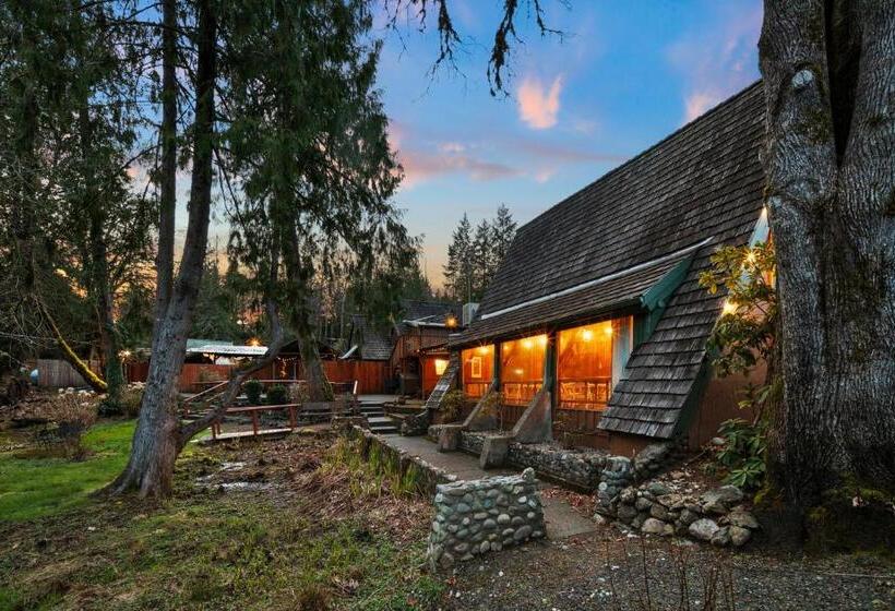 جناح رئاسى, Robin Hood Village Resort