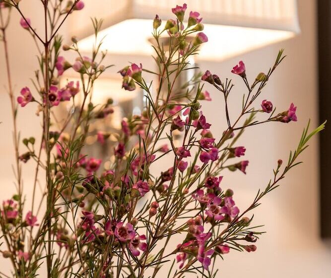 Standard Room with Balcony, Heritage Hotel 19