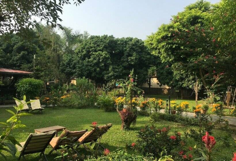 اتاق لوکس, Chautari Garden Resort