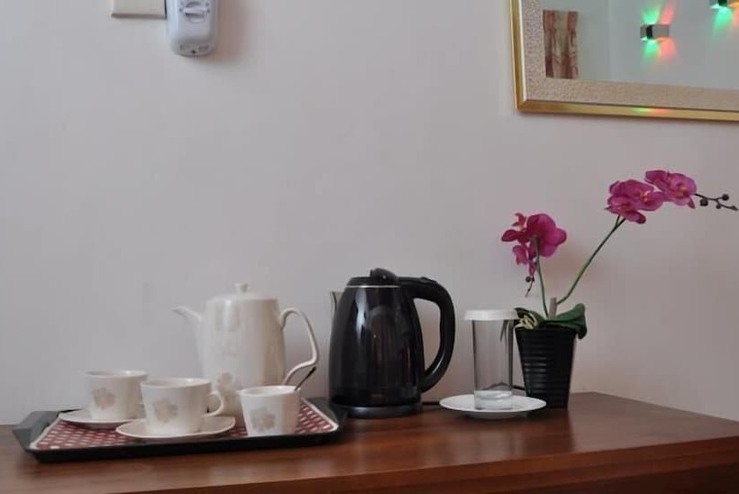 비즈니스룸, Guest Ryan