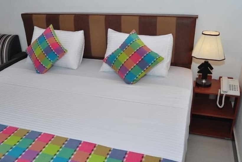 비즈니스룸, Guest Ryan