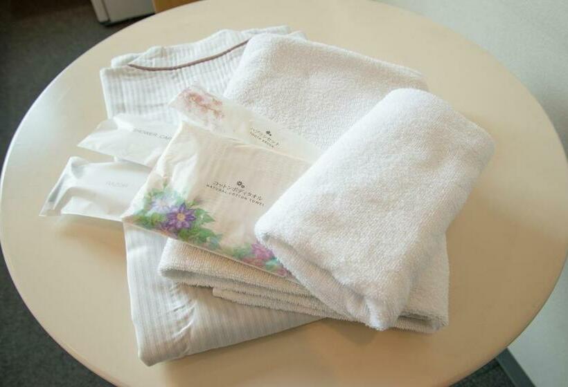 غرفة إقتصادية, Hana