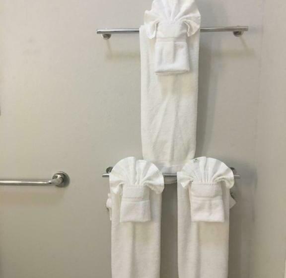 キングサイズベッドのスタンダードルーム, Holiday Inn Express & Suites   Brenham South, An Ihg