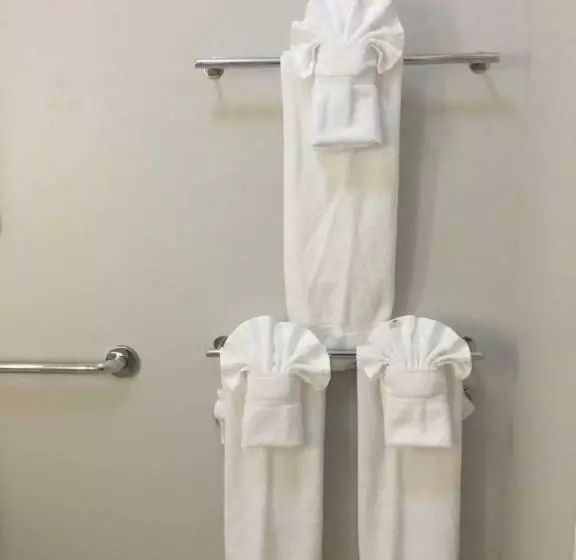 スタンダードルーム, Holiday Inn Express & Suites   Brenham South, An Ihg