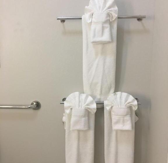 身障者適用キングサイズベッドルーム, Holiday Inn Express & Suites   Brenham South, An Ihg