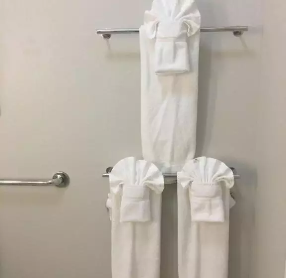 身障者適用スタンダードルーム, Holiday Inn Express & Suites   Brenham South, An Ihg