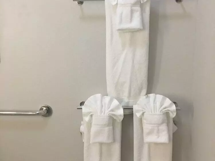 身障者適用スイートルーム, Holiday Inn Express & Suites   Brenham South, An Ihg
