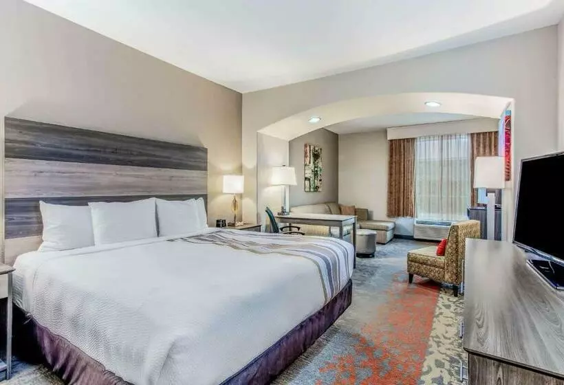 Standard-huone King-vuode, La Quinta By Wyndham Andrews