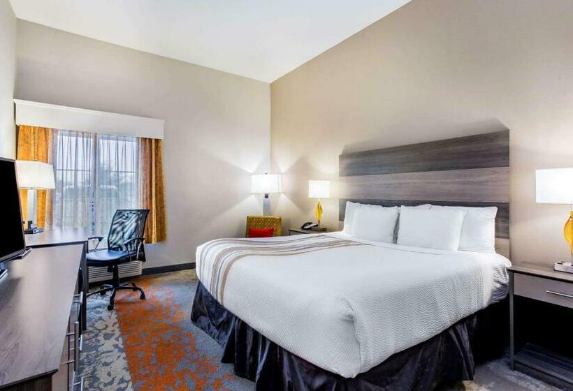 Номер Стандарт Кровать Кинг Адаптированный для Инвалидов, La Quinta By Wyndham Andrews