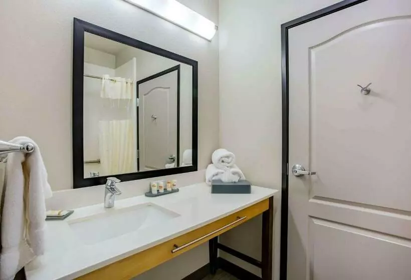 Standard-huone, La Quinta By Wyndham Andrews