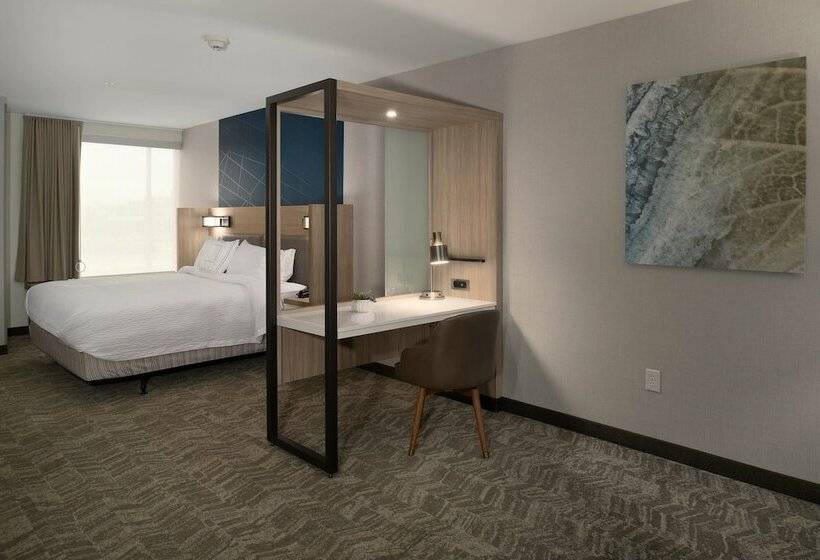 套房, Springhill Suites By Marriott Austin Cedar Park