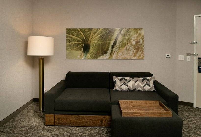 套房, Springhill Suites By Marriott Austin Cedar Park