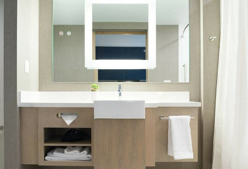 Люкс, Springhill Suites By Marriott Austin Cedar Park