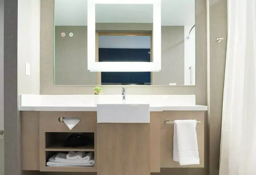 スイート, Springhill Suites By Marriott Austin Cedar Park