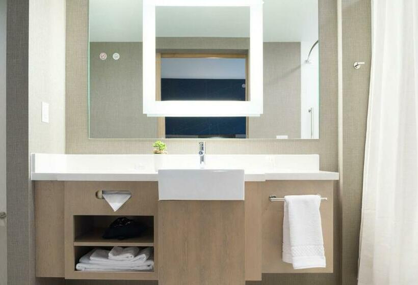 带大床的套房, Springhill Suites By Marriott Austin Cedar Park