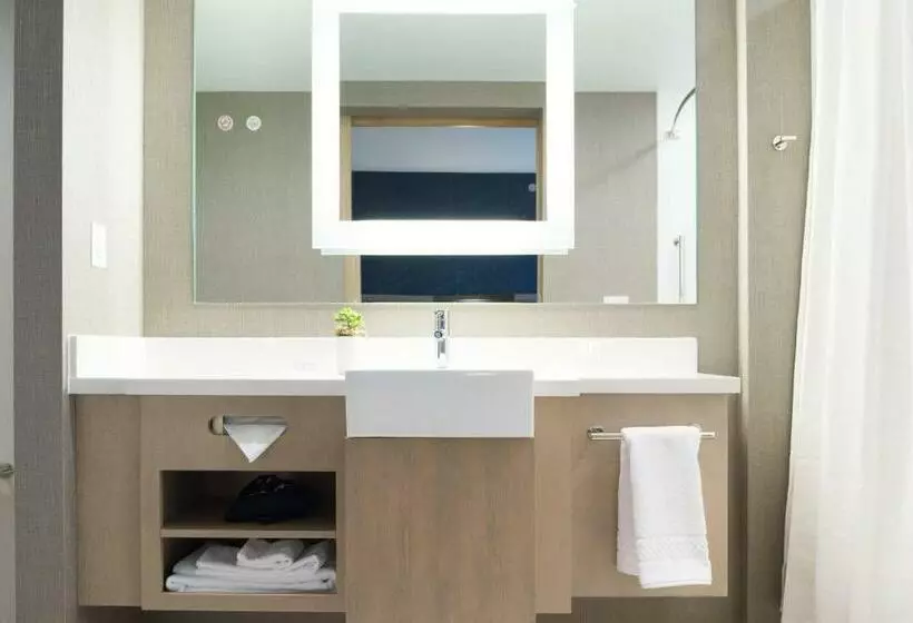 キングサイズベッドのスイートルーム, Springhill Suites By Marriott Austin Cedar Park