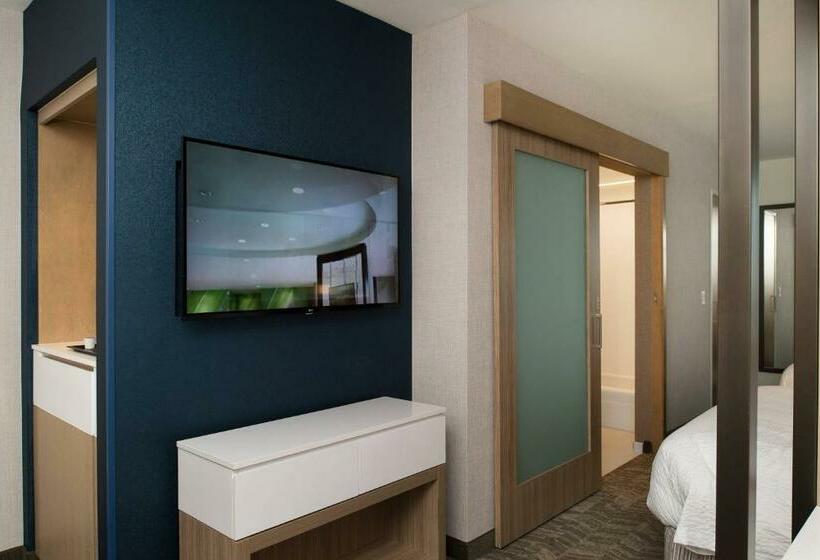 带大床的套房, Springhill Suites By Marriott Austin Cedar Park