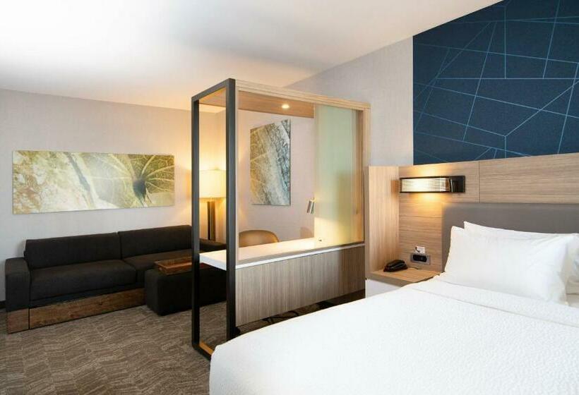 Люкс Кровать Кинг, Springhill Suites By Marriott Austin Cedar Park