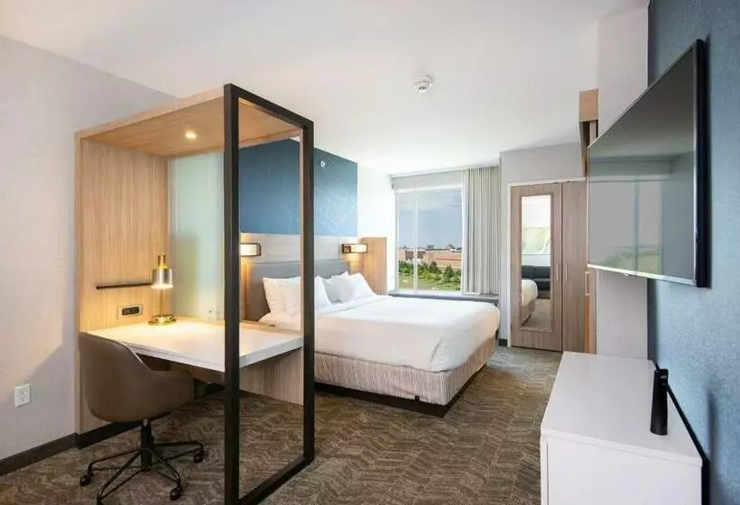 キングサイズベッドのスイートルーム, Springhill Suites By Marriott Austin Cedar Park