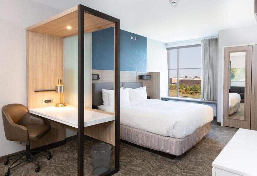 带大床的套房, Springhill Suites By Marriott Austin Cedar Park