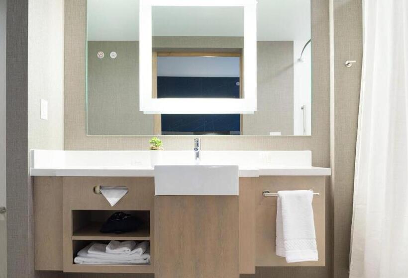 Люкс, Springhill Suites By Marriott Austin Cedar Park