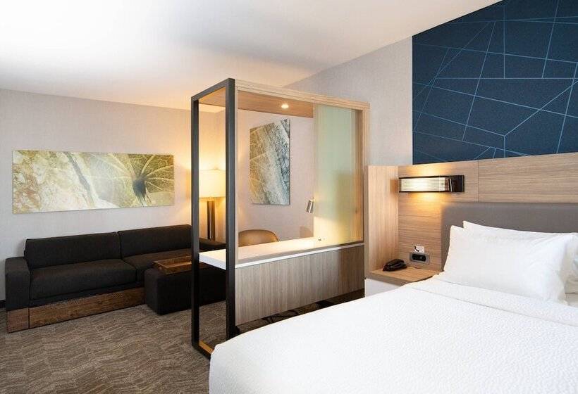 套房, Springhill Suites By Marriott Austin Cedar Park