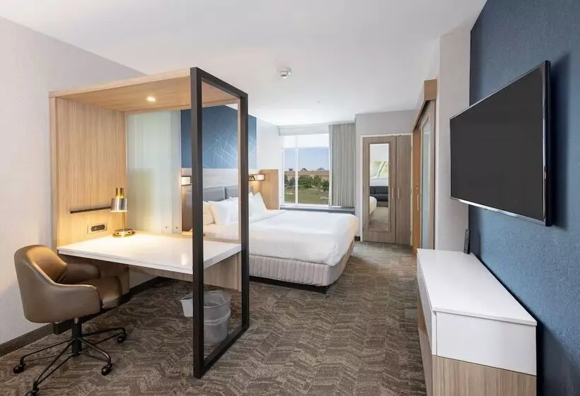 スイート, Springhill Suites By Marriott Austin Cedar Park