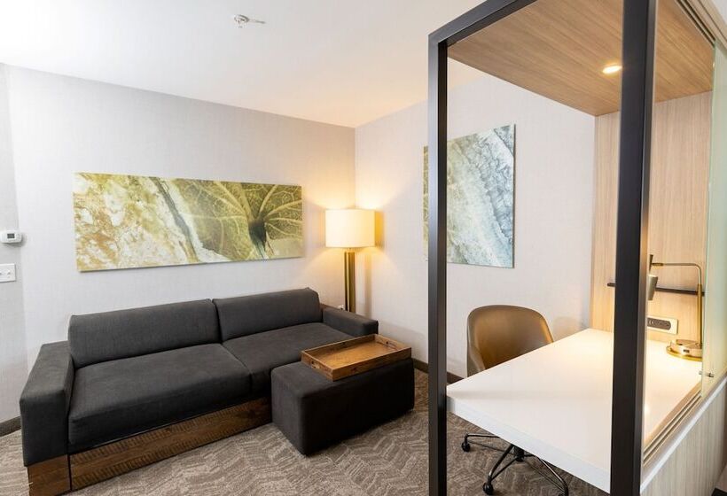 套房, Springhill Suites By Marriott Austin Cedar Park