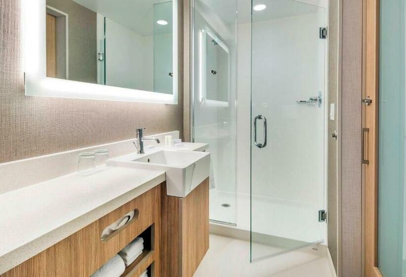 Люкс, Springhill Suites By Marriott Jackson Hole
