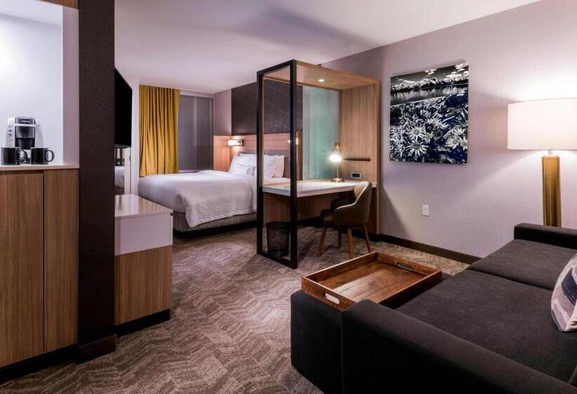 Студио Стандарт Кровать Кинг, Springhill Suites By Marriott Jackson Hole