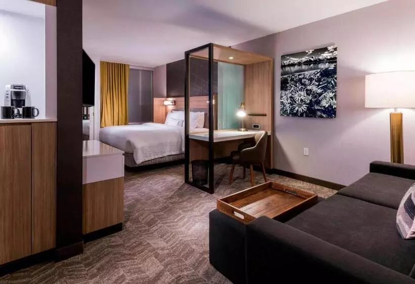 キングサイドベッドのスタンダードワンルーム, Springhill Suites By Marriott Jackson Hole