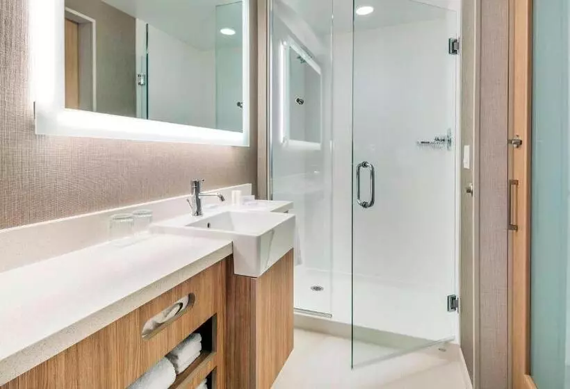 身障者適用スイートルーム, Springhill Suites By Marriott Jackson Hole