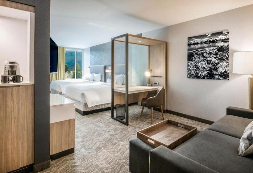 جناح لذوى الاحتياجات الخاصة, Springhill Suites By Marriott Jackson Hole