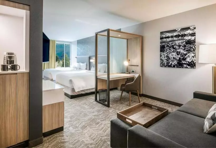身障者適用スイートルーム, Springhill Suites By Marriott Jackson Hole