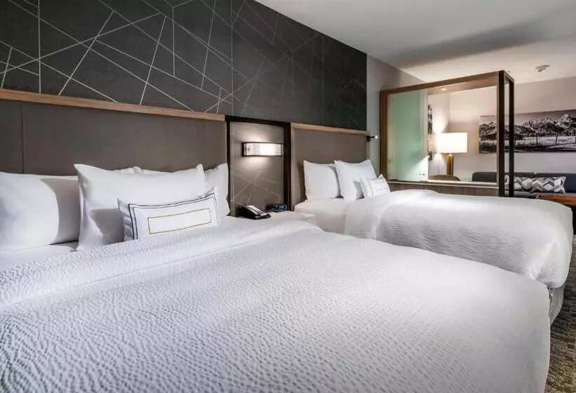 身障者適用スイートルーム, Springhill Suites By Marriott Jackson Hole