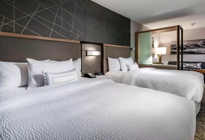スイート, Springhill Suites By Marriott Jackson Hole