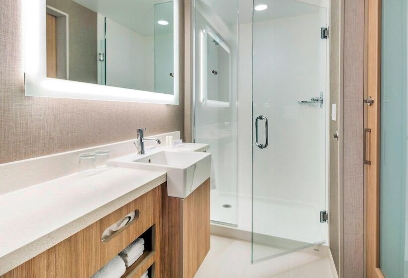 جناح لذوى الاحتياجات الخاصة, Springhill Suites By Marriott Jackson Hole