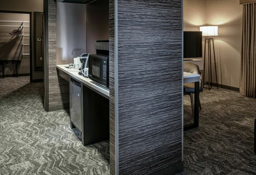 جناح, Springhill Suites By Marriott Springdale Zion National Park