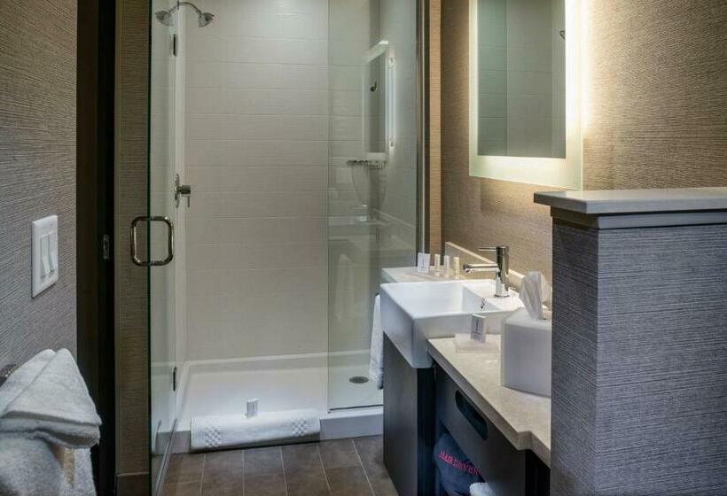 Люкс Кровать Кинг, Springhill Suites By Marriott Springdale Zion National Park