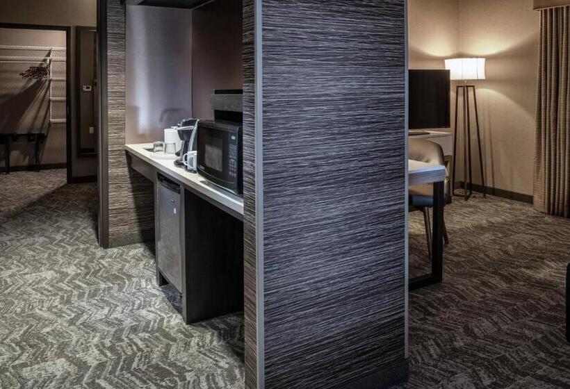 جناح, Springhill Suites By Marriott Springdale Zion National Park