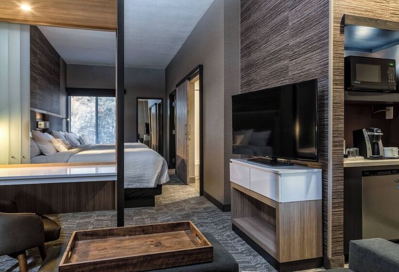 Люкс, Springhill Suites By Marriott Springdale Zion National Park