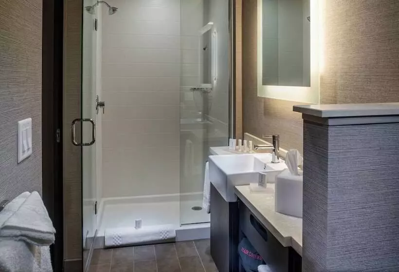スイート, Springhill Suites By Marriott Springdale Zion National Park
