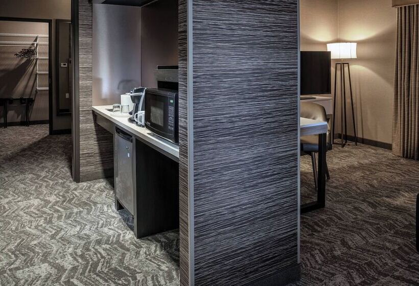 جناح, Springhill Suites By Marriott Springdale Zion National Park