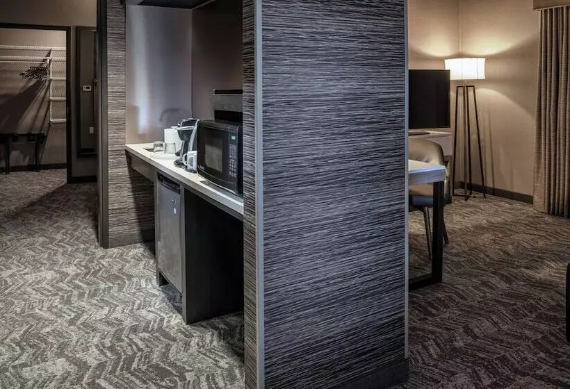 スイート, Springhill Suites By Marriott Springdale Zion National Park