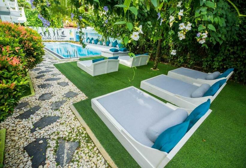 Номер Стандарт, The Surfer